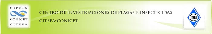 ¿Qué es el CIPEIN?